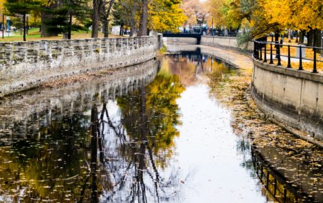 Découvrir La Petite-Patrie à Montréal