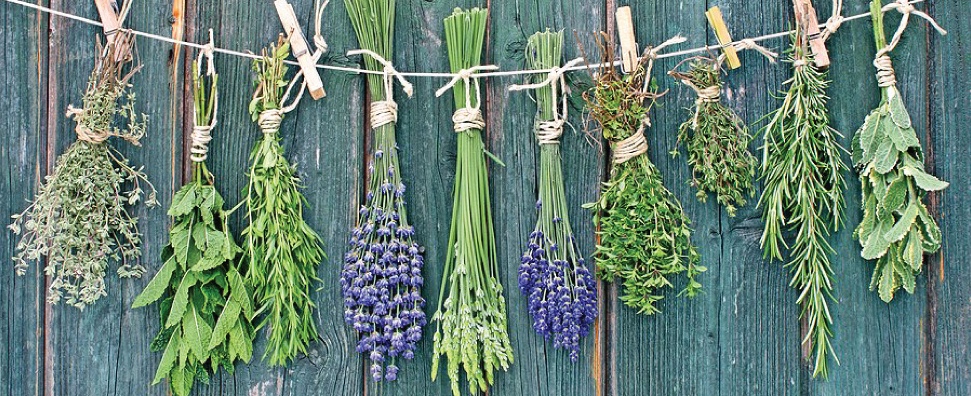Des fines herbes 4 saisons? C