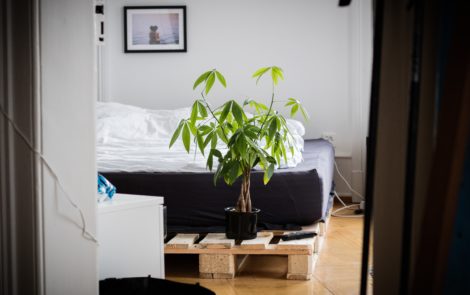 Top 10 de nos appartements coup de cœur