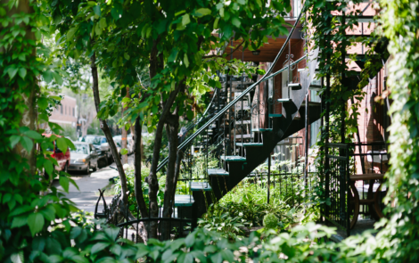 Choisir le Plateau Mont-Royal