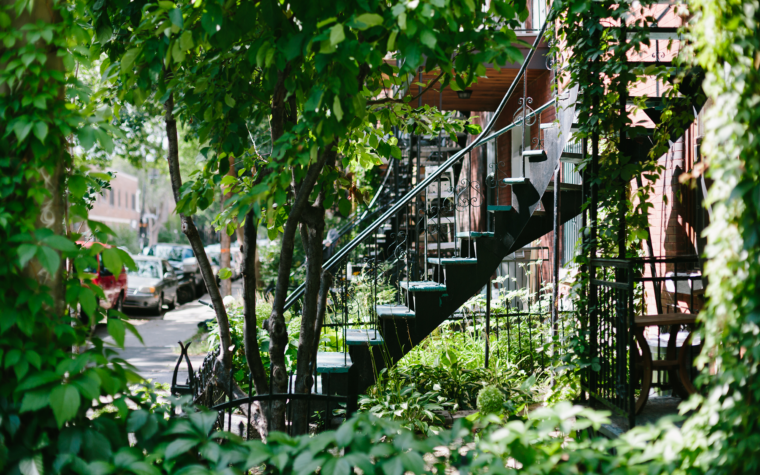 Logements à louer sur le Plateau Mont-Royal