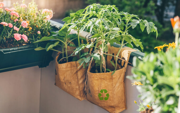 potager sur un balcon