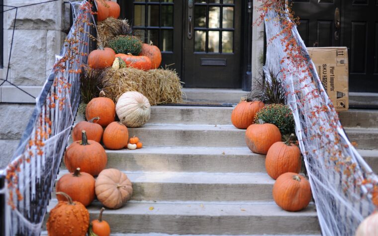 Comment rendre ton appartement plus chaleureux avant l’arrivée de l’automne