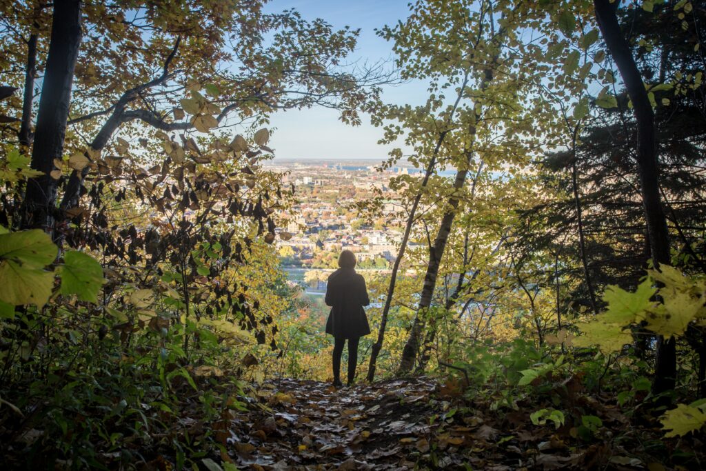 Vue sur la ville du Mt-Royal