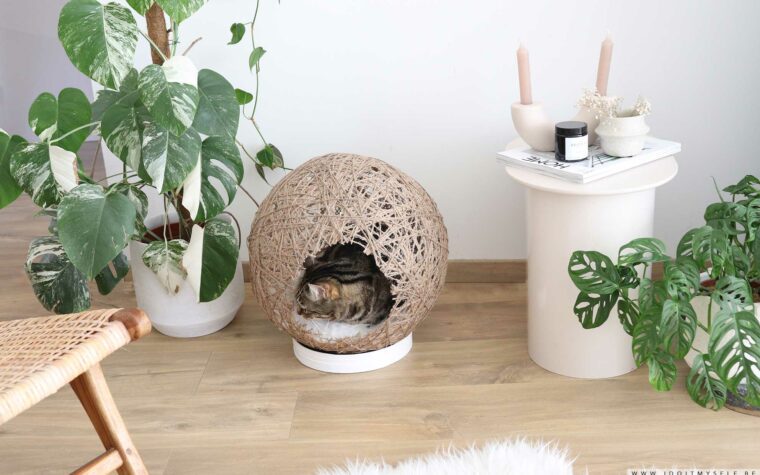 DIY : Maison boule pour chat