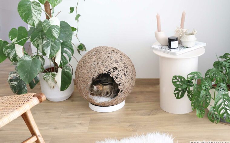 Comment fabriquer une maison pour ton chat ?