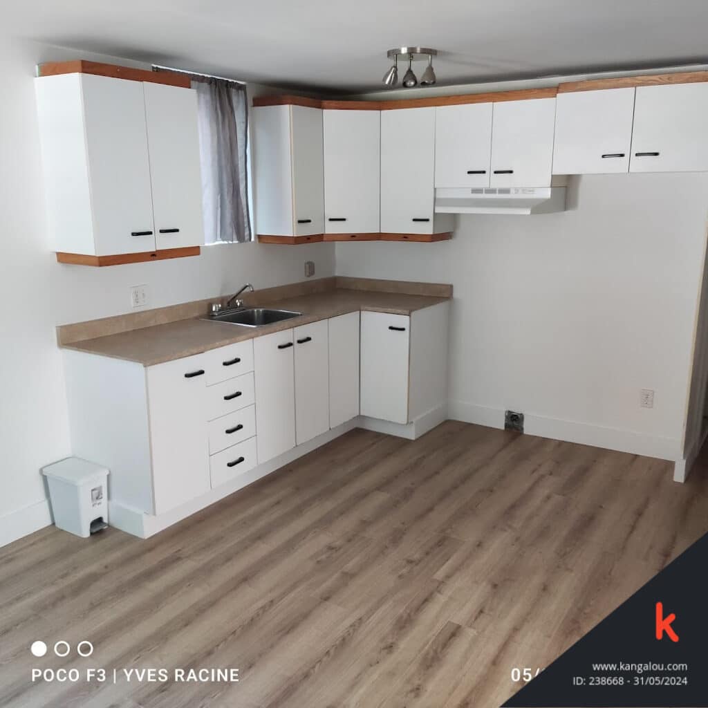 Appartement à louer à Montréal à moins de 1100$

