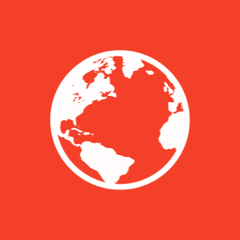 International Option icon