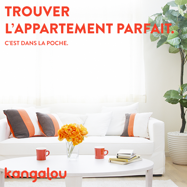 Appartement A Louer Logement A Louer Kangalou